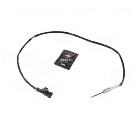 Acessar a peça Sensor de temperatura dos gases de escape