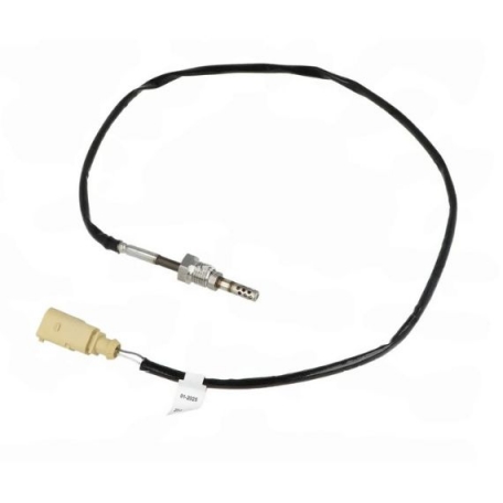 Acessar a peça Sensor temperatura gases de escape