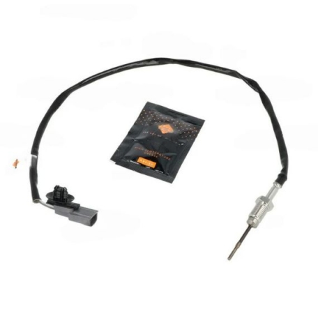 Acessar a peça Sensor temperatura gases de escape