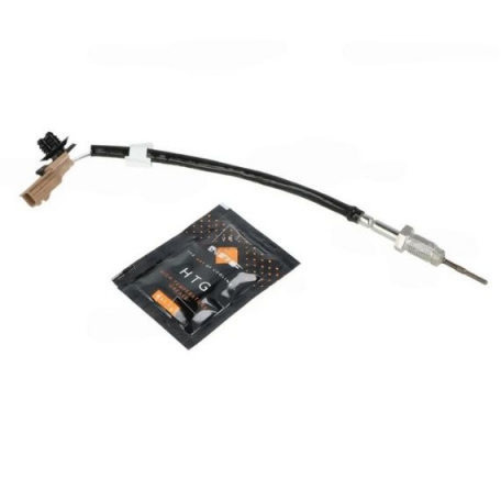 Acessar a peça Sensor temperatura gases de escape